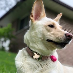 Meet your Posher, Laura